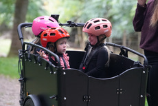 Sele til Scandia EcoCruiser ladcykel