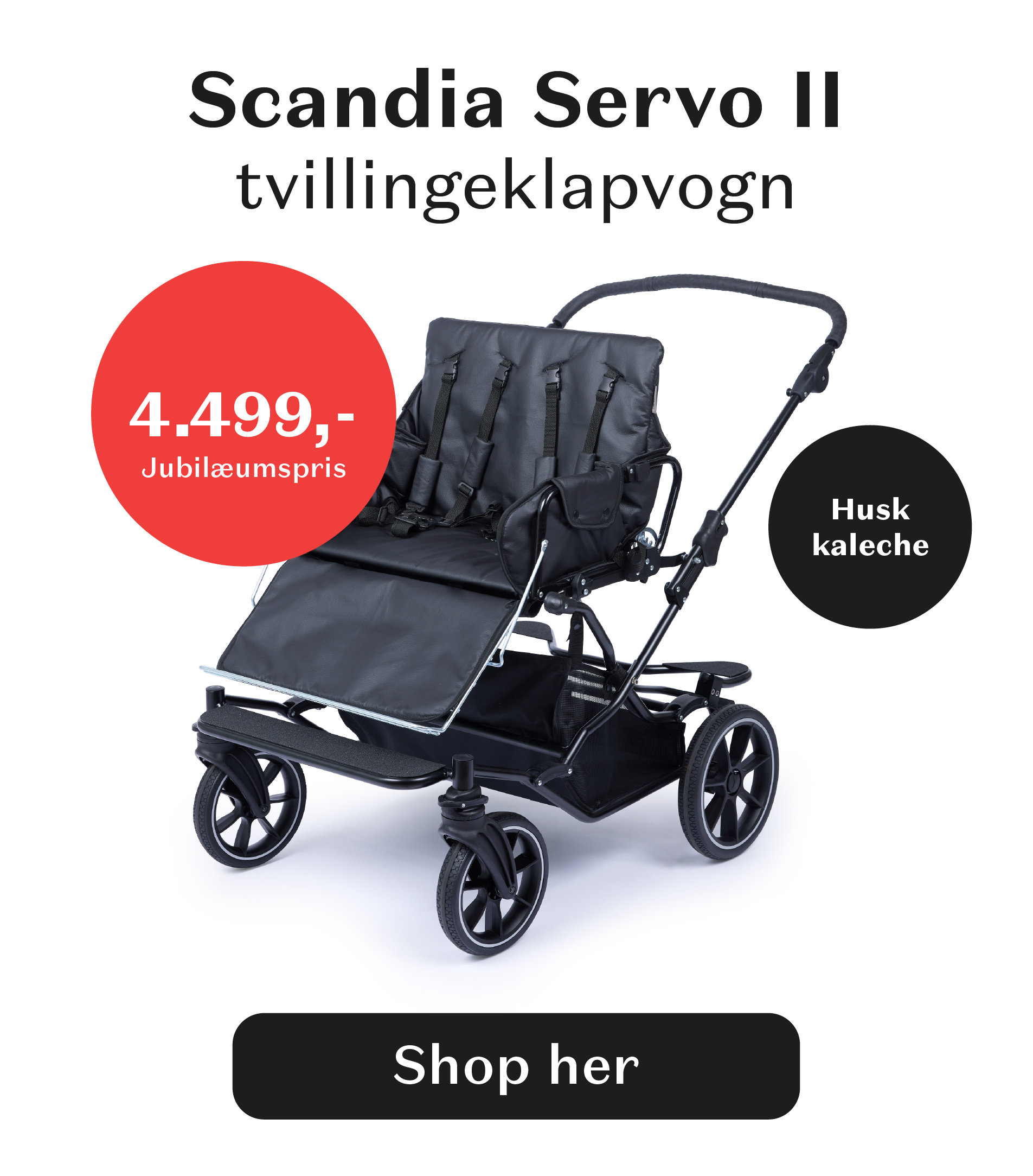 Scandia Servo