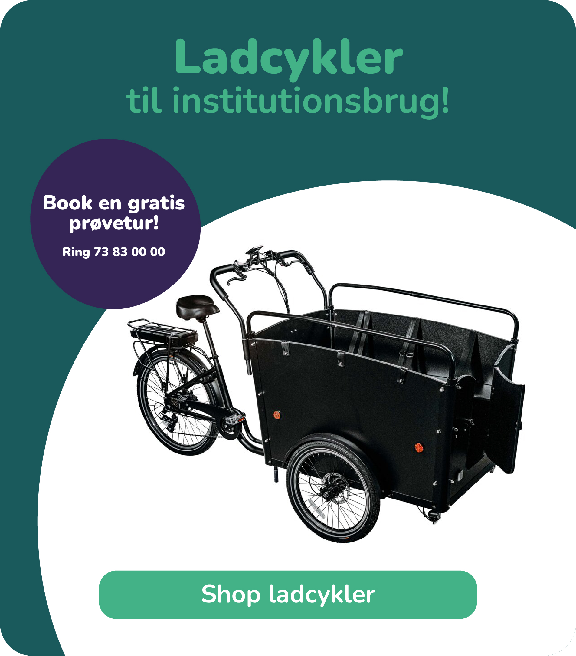 Ladcykler
